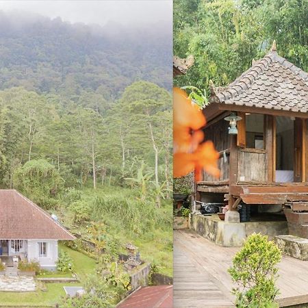 Four Monkeys House Villa Bedugul  Buitenkant foto
