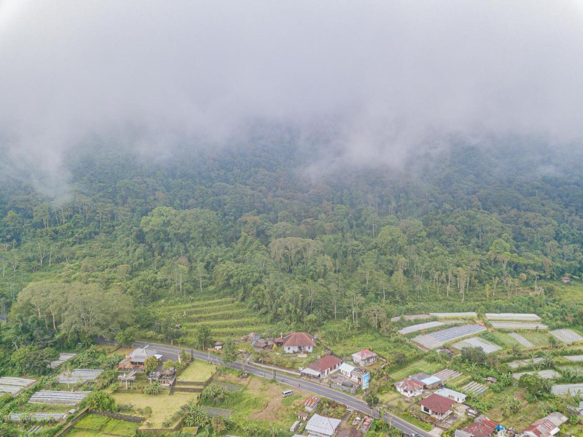 Four Monkeys House Villa Bedugul  Buitenkant foto