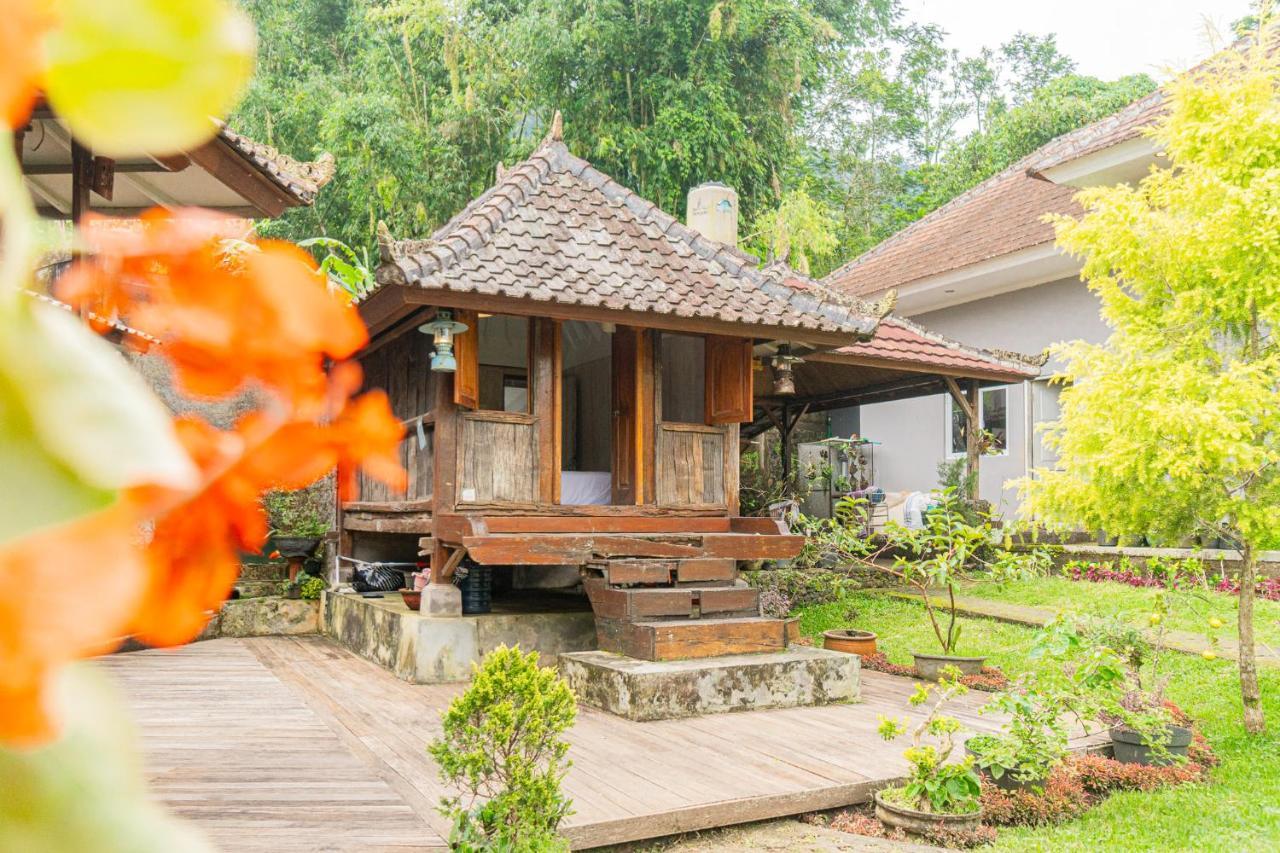 Four Monkeys House Villa Bedugul  Buitenkant foto
