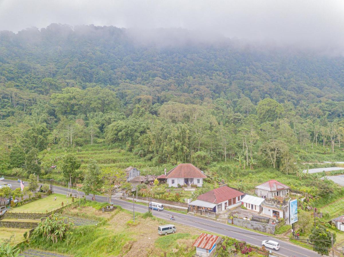 Four Monkeys House Villa Bedugul  Buitenkant foto